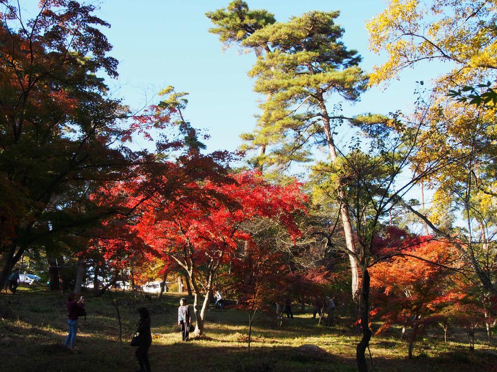 Inn Yokotei Nagatoro  Exterior photo